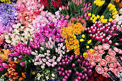 E3 2021：雪崩工作室新作《Contraband》预告片公布