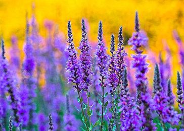 主角被困时间循环 叙事游戏《十二分钟》 即将上市